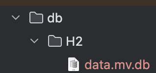 [Spring Boot] H2 Database "testdb" not found, either pre-create it or allow remote database creation 해결